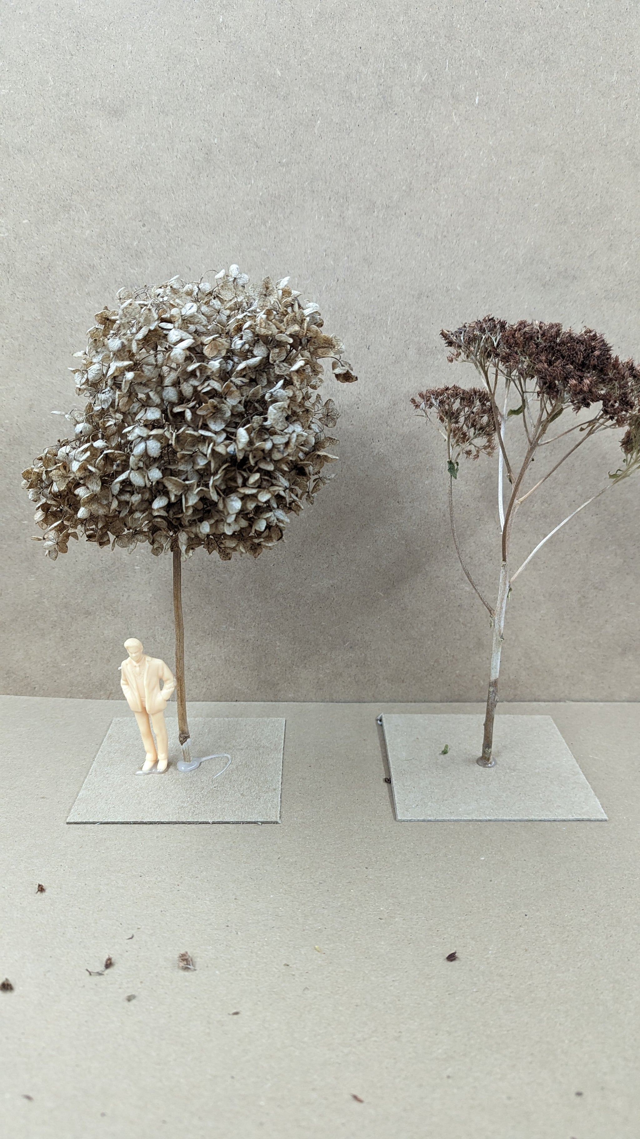 large1.2trees_2048x.jpg?v=